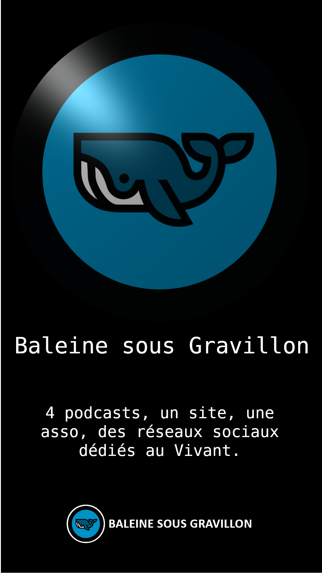 Baleine sous gravillon