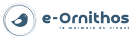 e-Ornithos