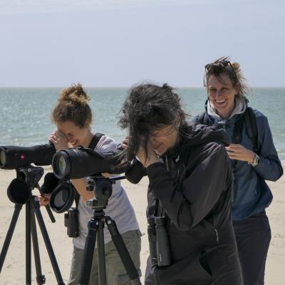 France, Baie d'Authie