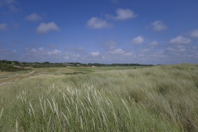 Découverte des oiseaux de la Baie d'Authie